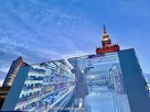 Mieszkanie Warszawa Śródmieście, Hoża - 4