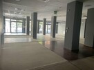 Lokal Handlowy/Usługowy Budynek Radisson Garbary - 10