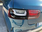 Citroen C4 Cactus - 10
