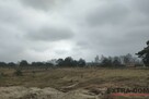 Duża działka budowlana pod Goleniowem - 2