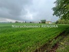 Działka Jastrzębie-Zdrój Borynia, Plebiscytowa - 3