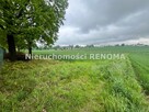 Działka Jastrzębie-Zdrój Borynia, Plebiscytowa - 4