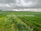 Działka Jastrzębie-Zdrój Borynia, Plebiscytowa - 5