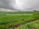 Działka Jastrzębie-Zdrój Borynia, Plebiscytowa - 6