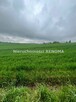 Działka Jastrzębie-Zdrój Borynia, Plebiscytowa - 9