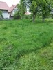 Koszenie Trawy i Zarośli – Gorzów i Okolice - 4