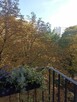 Bezpośrednio Sady Żoliborz 2 Pokoje 3 Piętro Piwnica Balkon - 7