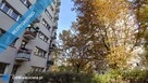 Bezpośrednio Sady Żoliborz 2 Pokoje 3 Piętro Piwnica Balkon - 15