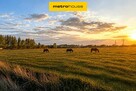 Działki Piaski tuż przy autostradzie - 4