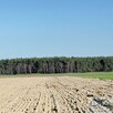 Działka budowlana Żabno gm. Brodnica - 6
