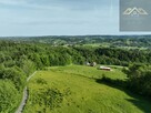 Działka rolno-budowlana Siemiechów gm. Gromnik - 3