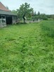 Koszenie Trawy i Zarośli – Gorzów i Okolice - 3