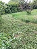 Koszenie Trawy i Zarośli – Gorzów i Okolice - 2