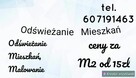 Malowanie Mieszkań, odświeżanie.