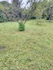 Koszenie Trawy i Zarośli – Gorzów i Okolice - 6