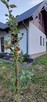 Nowy dom nad jeziorem przy lesie, 45 minut nad morze - 4