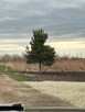 Działka budowlana (3000 m2) MEDIA (Żórawina) - 3