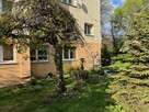 Przytulne mieszkanie w cichej okolicy - śródmieście Katowic - 5