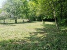 Ogródek Dzialkowy / działka ROD - 2