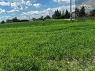 Działka rolno-budowlana Wierzchosławice - 6