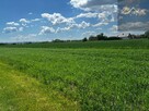 Działka rolno-budowlana Wierzchosławice - 7