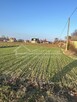 Działka budowlana Stasiówka gm. Łomazy, Stasiówka - 5