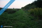 Działka 2.46 ha k. Mszczonowa z warunkami na bud. mieszkalny - 3