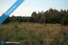 Działka 2.46 ha k. Mszczonowa z warunkami na bud. mieszkalny - 5