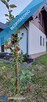 Nowy dom nad jeziorem przy lesie - 2