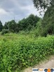 Działka o pow. 25 000 m² pod zabudowę i rekreację. - 3
