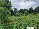 Działka o pow. 25 000 m² pod zabudowę i rekreację. - 4