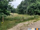 Działka o pow. 25 000 m² pod zabudowę i rekreację. - 5