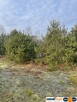 Działka 1050 m² pod zabudowę letniskową. - 3