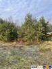 Działka 1050 m² pod zabudowę letniskową. - 5