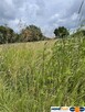 Działka 10 244 m² zabudowa mieszkaniowa i usługi - 2