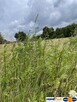 Działka 10 244 m² zabudowa mieszkaniowa i usługi - 3