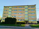 Mieszkanie Wąbrzeźno Wąbrzeźno - 13