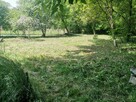 Ogródek Dzialkowy / działka ROD