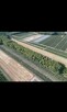 Sprzedam dwie działki w pakiecie, po 3000 m2 każda Piekut - 3