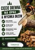 Cięcie drewna w klocki. Sprzątanie posesji. - 3