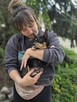 Misia -mikro suczka do pilnej adopcji - 4