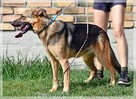 Pati – szuka aktywnej rodziny, która zechce z nią pracować - 4