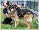 Sancho – przy człowieku młodnieje w każdej sekundzie - 5