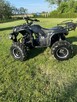 Sprzedam Qada Bashan 250 - 11