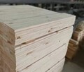 Pine stripe Lumber /Pine Wood