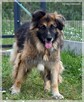 Sancho – przy człowieku młodnieje w każdej sekundzie - 3