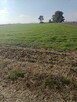 Działka budowlana 93 ary - 5