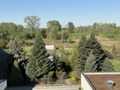 Apartament 3 pokoje, ostatnie piętro, 3m wysokości - 5