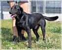 Magik – chce być blisko, poznawać świat, nie zniknąć - 2