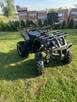 Sprzedam Qada Bashan 250 - 3